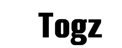 ​Togz - logo